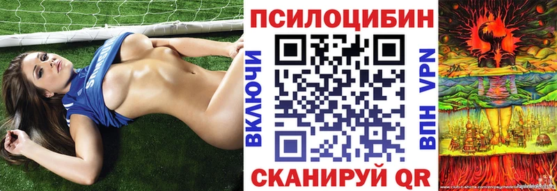 Псилоцибиновые грибы Psilocybe  Александровск 